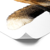 Kwekerij Foto Vos Blaast Bubbel Schattig Dier Kind Poster (Hoek)