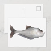 kwekerijvis briefkaart (Voorkant / Achterkant)