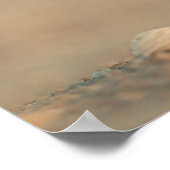 Kwetsbaarheid Poster (Hoek)