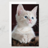 Kwetsbare Witte Keuten Briefpapier (Voorkant / Achterkant)