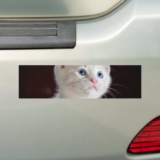 Kwetsbare Witte Keuten Bumpersticker (Op auto)