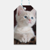 Kwetsbare Witte Keuten Cadeaulabel (Voorkant)