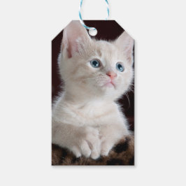 Kwetsbare Witte Keuten Cadeaulabel