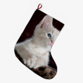 Kwetsbare Witte Keuten Grote Kerstsok (Voorkant (Hangend))