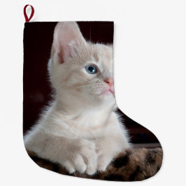 Kwetsbare Witte Keuten Grote Kerstsok