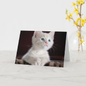 Kwetsbare Witte Keuten Kaart (Gele Bloem)