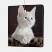 Kwetsbare Witte Keuten Keramisch Ornament (Links)