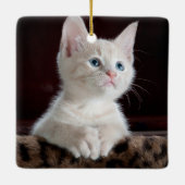 Kwetsbare Witte Keuten Keramisch Ornament (Achterkant)