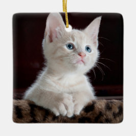 Kwetsbare Witte Keuten Keramisch Ornament