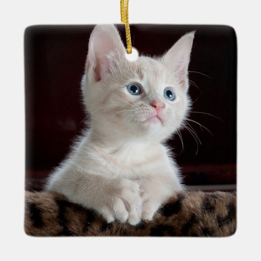 Kwetsbare Witte Keuten Keramisch Ornament (Voorkant)