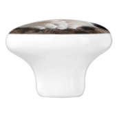 Kwetsbare Witte Keuten Keramische Knop (Zijkant)