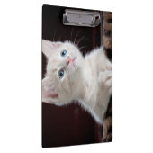 Kwetsbare Witte Keuten Klembord (Rechts)