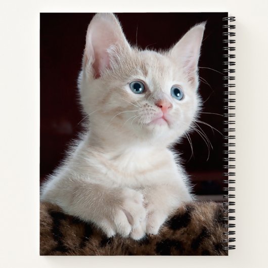 Kwetsbare Witte Keuten Notitieboek (Achterkant)