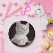 Kwetsbare Witte Keuten Papieren Bordje (Feest)