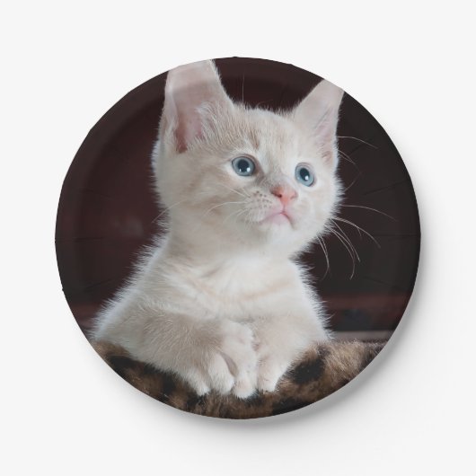 Kwetsbare Witte Keuten Papieren Bordje (Voorkant)