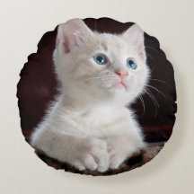 Kwetsbare Witte Keuten