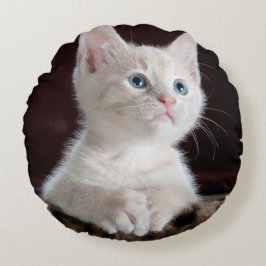 Kwetsbare Witte Keuten Rond Kussen