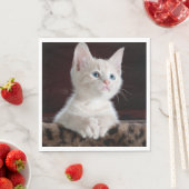 Kwetsbare Witte Keuten Servet (Insitu)