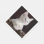 Kwetsbare Witte Keuten Servet (Hoek)