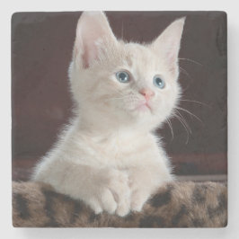 Kwetsbare Witte Keuten Stenen Onderzetter