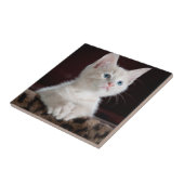 Kwetsbare Witte Keuten Tegeltje (Zijkant)