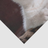 Kwetsbare Witte Keuten Tissuepapier (Detail)