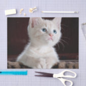 Kwetsbare Witte Keuten Tissuepapier (Craft)