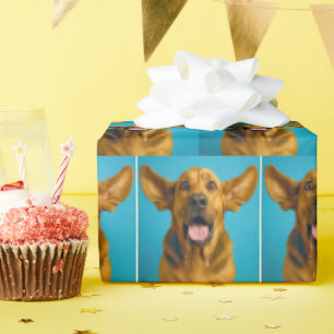 Kwijlende Bloodhound Met Verraste Uitdrukking Cadeaupapier