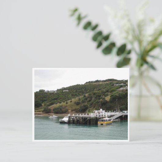 kwijtschelding pier briefkaart (Staand voorkant)