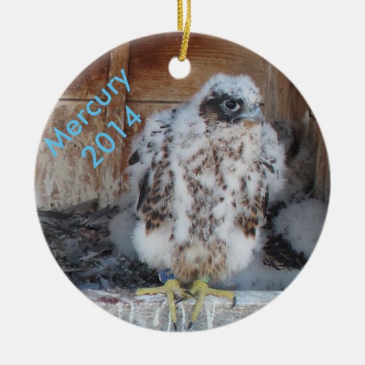 Kwik-decoratie 2014 keramisch ornament (Voorkant)