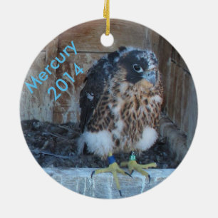 Kwik-decoratie 2014 keramisch ornament