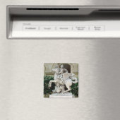 Kwik op Pegasus Magneet (Insitu (Vaatwasser))