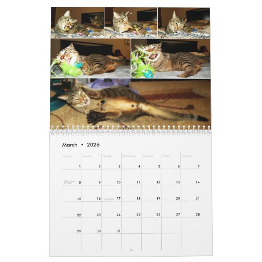 Kwikkalender 2016 kalender (Mar 2026)