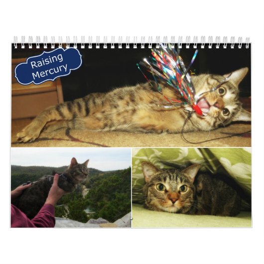 Kwikkalender 2016 kalender (Hoes)