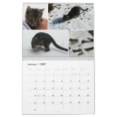 Kwikkalender 2016 kalender (Jan 2027)