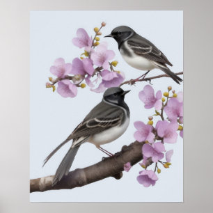kwikstaartvogel poster