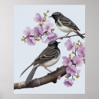 kwikstaartvogel poster