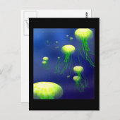 KY zetten Briefkaart op gelei (Voorkant / Achterkant)