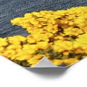 Kyleakin, Schotland. De oude ruïnes van 2 Poster (Hoek)