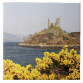 Kyleakin, Schotland. De oude ruïnes van 2 Tegeltje (Voorkant)