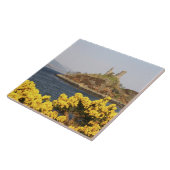 Kyleakin, Schotland. De oude ruïnes van 2 Tegeltje (Zijkant)