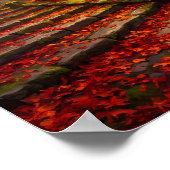 Kyoto Herfst Esdoorn Tempel Pad Poster (Hoek)