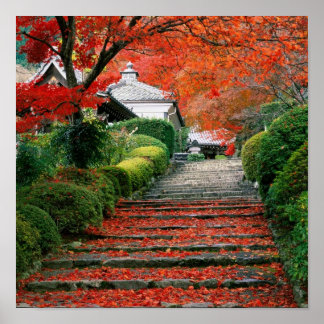 Kyoto, herfst Leaves Poster