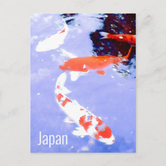 Kyoto Japan Kohaku koi carp Japans reizen Briefkaart