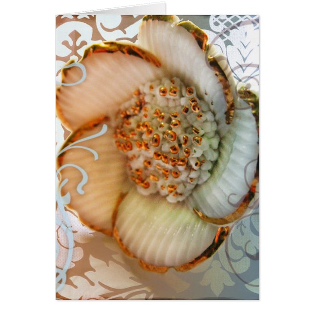 Kyoto Sakura (Voorkant)