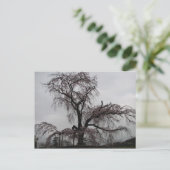 Kyoto Sakura Tree (Japan) Briefkaart (Staand voorkant)