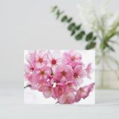 Kyotonachten: Lantaarn-Lit Sakura Briefkaart (Staand voorkant)