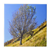 L0NEBOOM TEGELTJE (Voorkant)