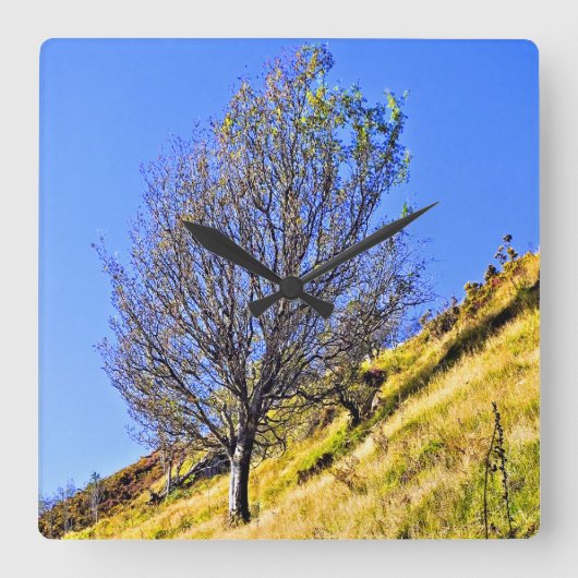 L0NEBOOM VIERKANTE KLOK (Voorkant)