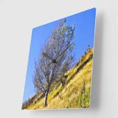 L0NEBOOM VIERKANTE KLOK (Hoek)